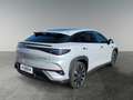 BYD Sealion 7 Excellence AWD Grau - thumbnail 5