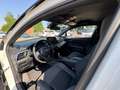 Toyota C-HR 2.0 Hybrid E-CVT Trend - thumbnail 13