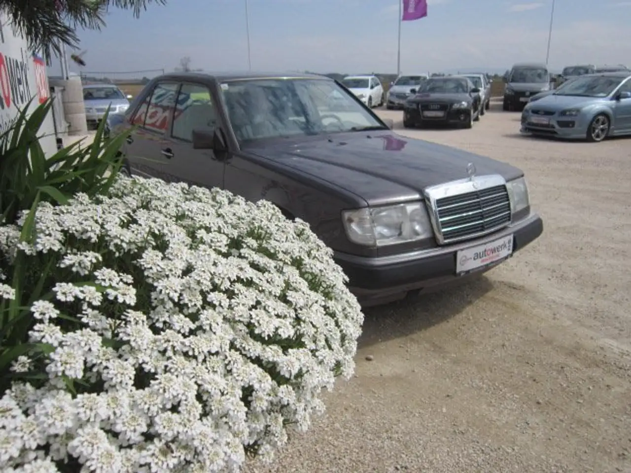 Mercedes-Benz 230 E Aut., foto 4