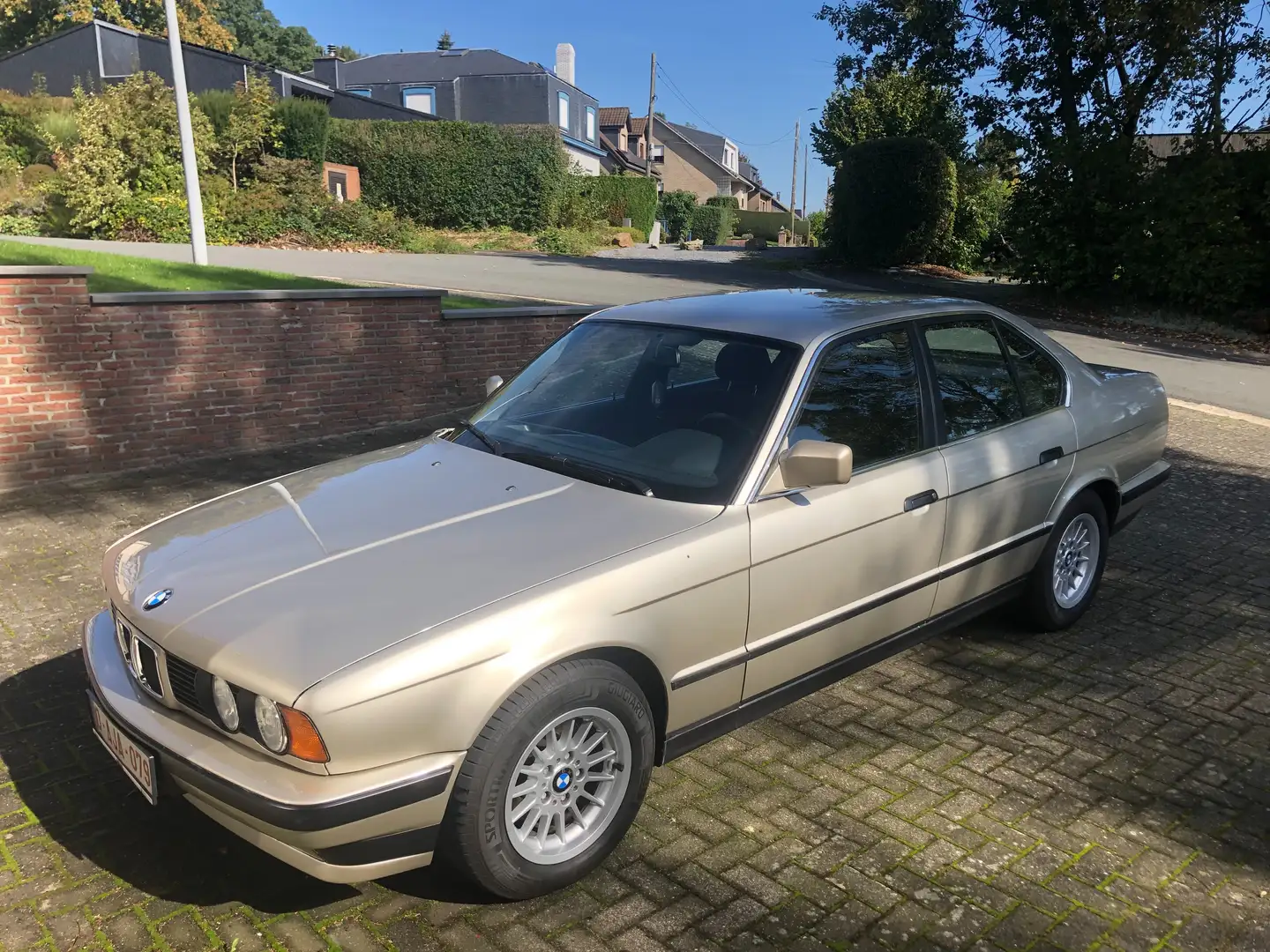BMW 525 Bronz - 1