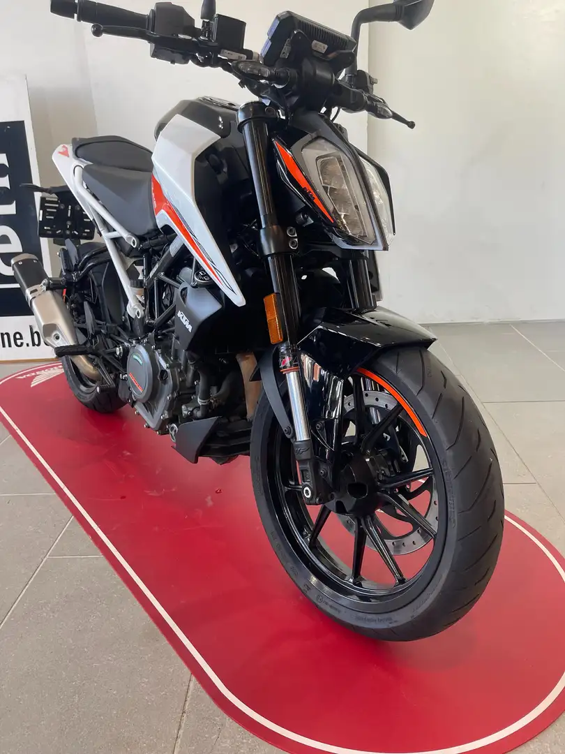 KTM 390 Duke Alb - 2