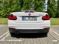 BMW 228 228i Cabrio Aut. M Sport Weiß - thumbnail 15