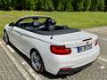 BMW 228 228i Cabrio Aut. M Sport Weiß - thumbnail 13