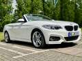 BMW 228 228i Cabrio Aut. M Sport Weiß - thumbnail 17