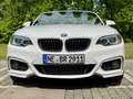 BMW 228 228i Cabrio Aut. M Sport Weiß - thumbnail 19