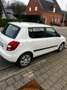 Skoda Fabia Fabia 1.2 TSI FAMILY Wit - thumbnail 5