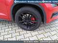 Skoda Kodiaq RS DSG 4WD+Business+Family/Schlafpaket+Pano Rot - thumbnail 9