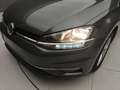 Volkswagen Golf 1.6 TDI 115CV BUSINESS 5P Grigio - thumbnail 43