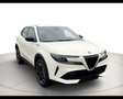 Alfa Romeo Junior Elettrica 156cv Speciale Bianco - thumbnail 4