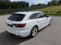 Audi A4 Avant 40 TDI S line quattro/Matrix/AHK/Standhei Weiß - thumbnail 4