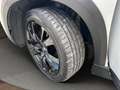 Peugeot 2008 Allure GT-Line-Paket P-Dach/Navi/R-Kamera Weiß - thumbnail 19