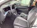 Volkswagen Golf VIII 1.5 TSI Goal Facelift AHK Navi ACC SHZ Weiß - thumbnail 11