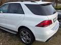 Mercedes-Benz GLE 350 GLE Diesel d 4Matic 9G-TRONIC AMG Line Alb - thumbnail 4