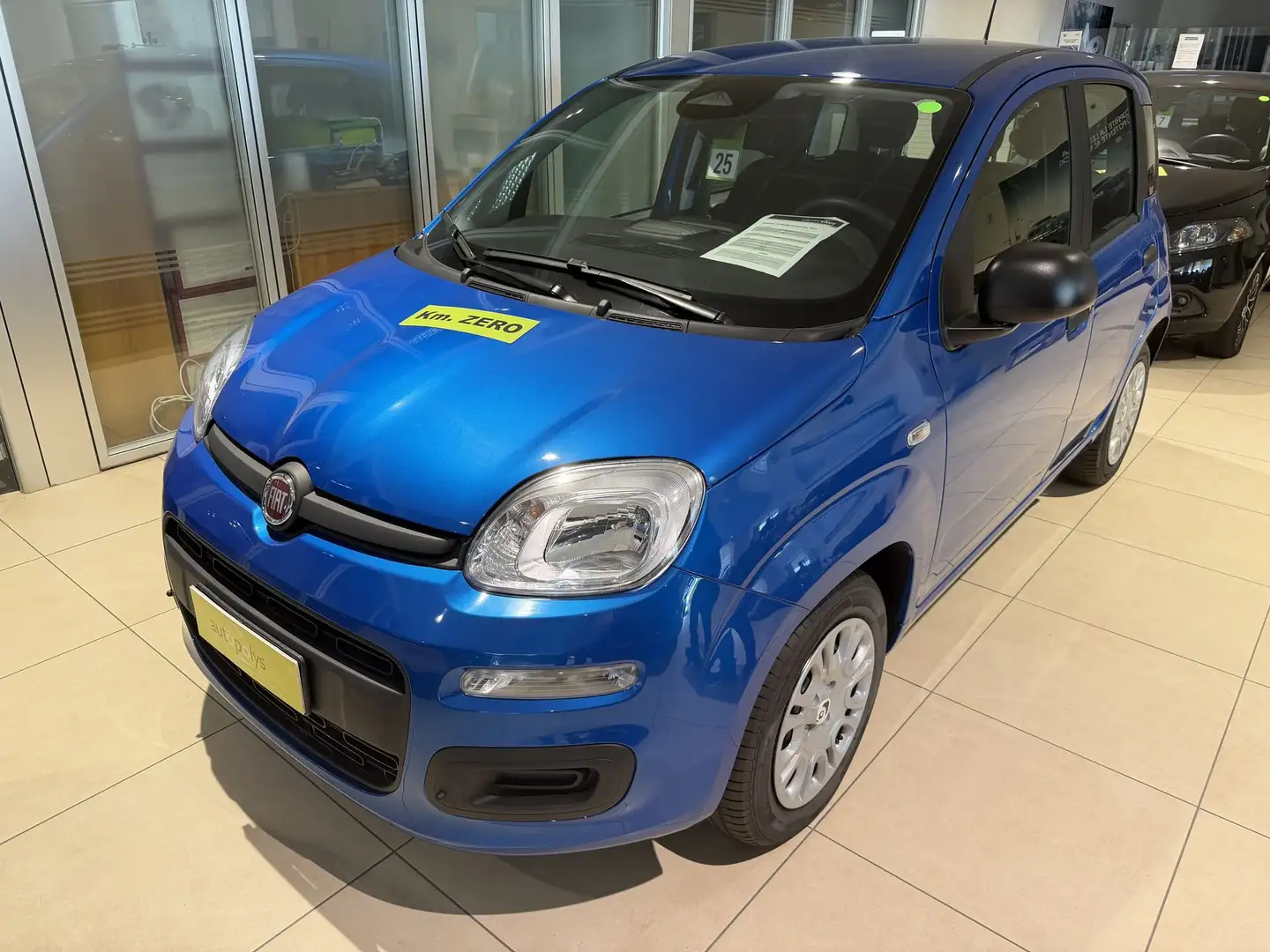 Fiat Panda Panda 1.0 FireFly S&S Hybrid Blau - 1