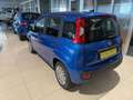 Fiat Panda Panda 1.0 FireFly S&S Hybrid Blau - thumbnail 4