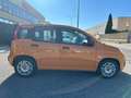 Fiat Panda 1.0 FireFly S&S Hybrid Arancione - thumbnail 7