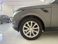 Land Rover Range Rover Sport Range Rover Sport 3.0 tdV6 Dynamic DISTRB. NUOVA Grau - thumbnail 9