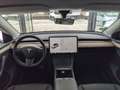 Tesla Model Y 440 cv, AWD, Tetto Panoramico, Autonomia WLTP 533k Blanc - thumbnail 11