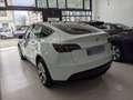Tesla Model Y 440 cv, AWD, Tetto Panoramico, Autonomia WLTP 533k Blanc - thumbnail 18