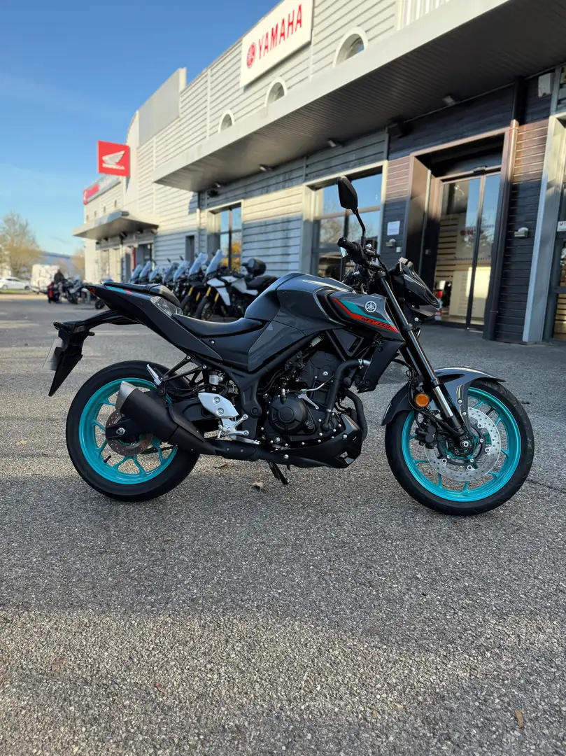 Yamaha MT-03 - 2