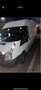 Ford Transit Bus - thumbnail 5