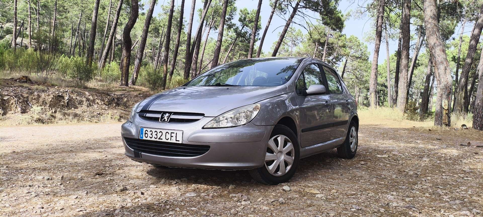 Peugeot 307 1.6 XR - foto 1