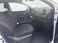 Renault Kadjar 1.3 TCe 140 Zen*Android*Car-Play*SHZ*Navi Weiß - thumbnail 10