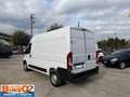 Citroen Jumper 2.2 DIESEL 120CV L2H2 - 2022 Blanc - thumbnail 4