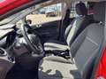 Ford Fiesta 1.0 EcoBoost Hot Hatch Edition 100PK NIEUWE DISTRI Rood - thumbnail 4