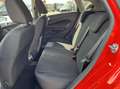 Ford Fiesta 1.0 EcoBoost Hot Hatch Edition 100PK NIEUWE DISTRI Rood - thumbnail 16