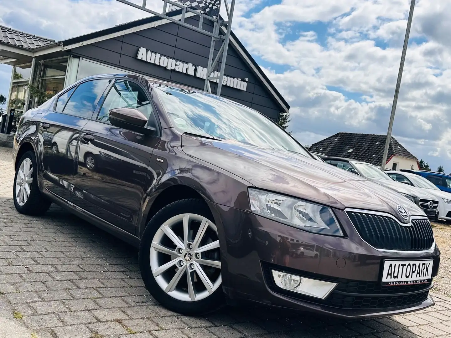 Skoda Octavia Lim. Joy *NAVI*DSG*AHK*SHZ* Hnědá - 1