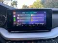 Skoda Octavia Combi 2,0 TDI 4x4 Style DSG Matrix-ACC-AHK Grau - thumbnail 15