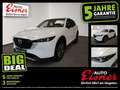 Mazda CX-5 CD184 AWD AT NEWGROUND BIG DEAL Weiß - thumbnail 1