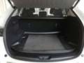 Mazda CX-5 CD184 AWD AT NEWGROUND BIG DEAL Weiß - thumbnail 12