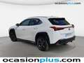 Lexus UX 250h Business 2WD Weiß - thumbnail 3