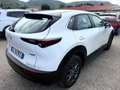 Mazda CX-30 CX-30 2.0 m-hybrid Evolve 2wd 122cv 6mt - GL949KE Bianco - thumbnail 9