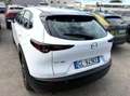 Mazda CX-30 CX-30 2.0 m-hybrid Evolve 2wd 122cv 6mt - GL949KE Bianco - thumbnail 12
