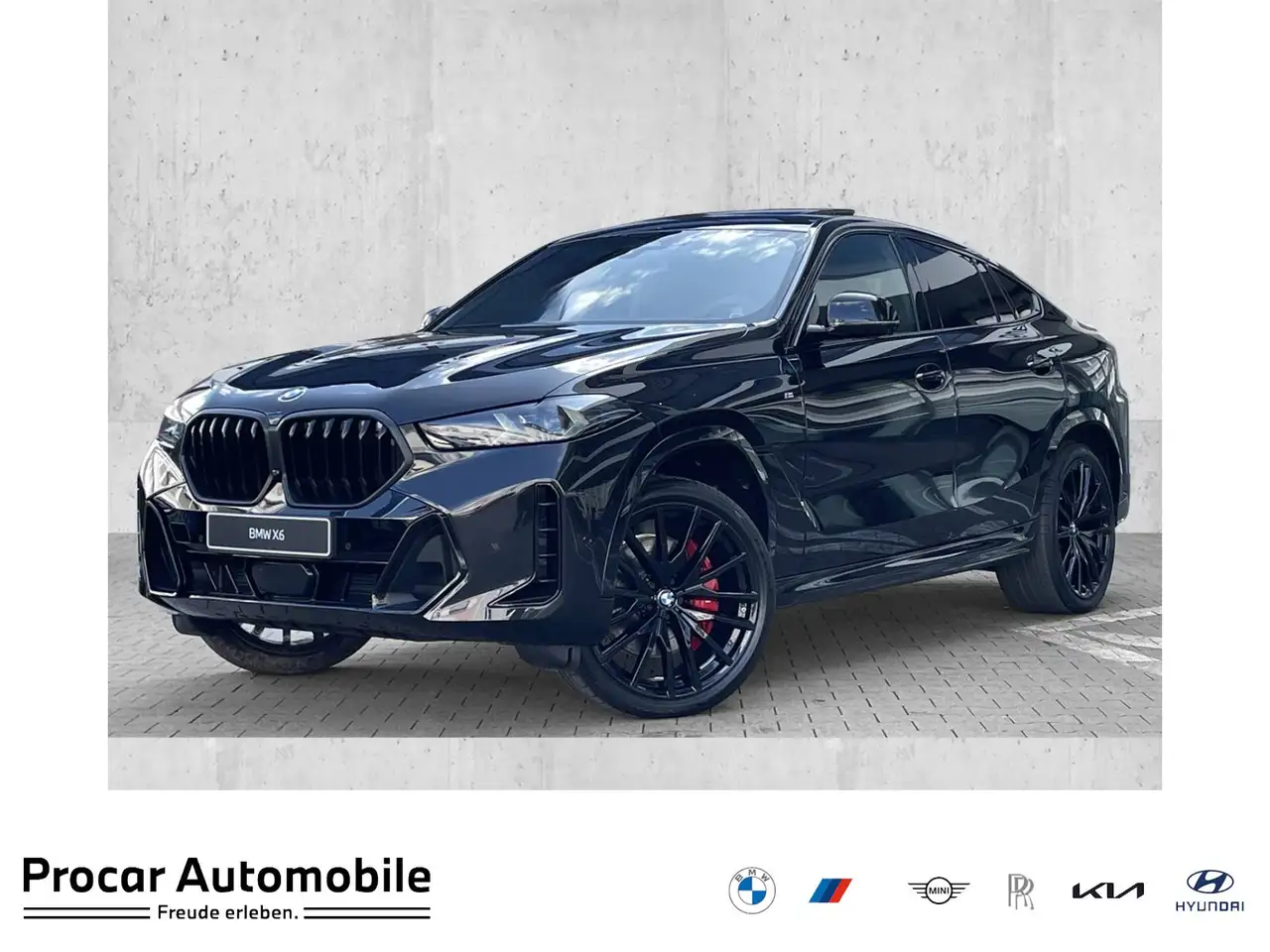 BMW X6