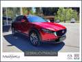 Mazda CX-30 /SKYACTIV-G122/COMFORT+/SOUND/STYLE/PREMIUM/T Rot - thumbnail 1