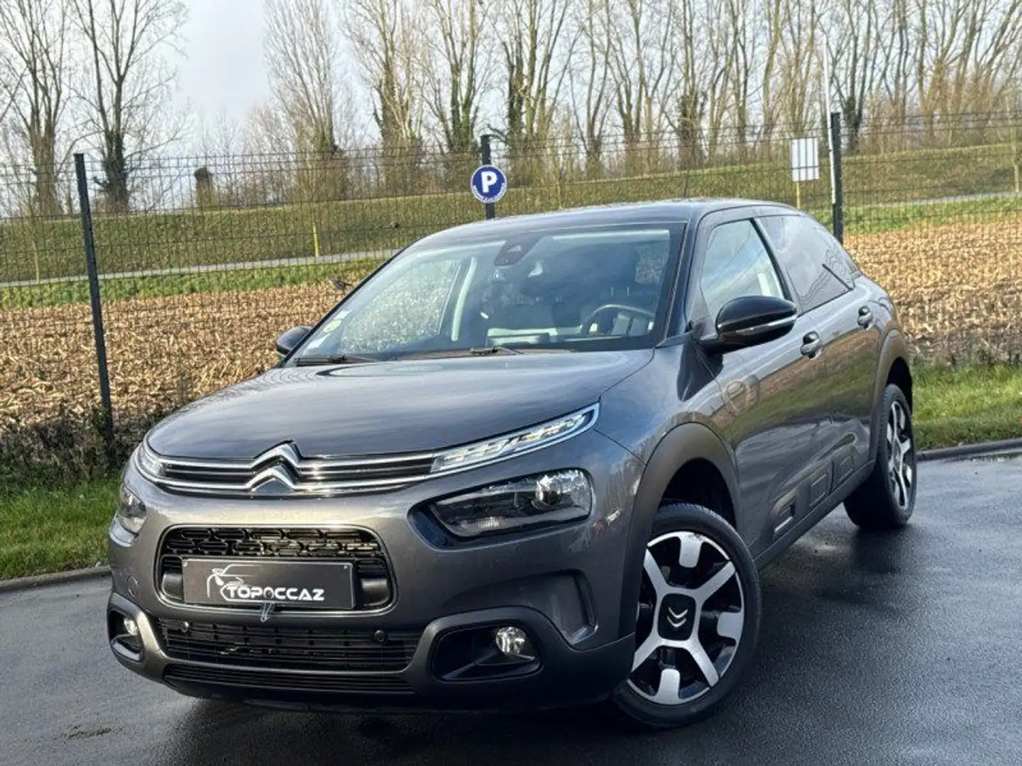 Citroen C4 Cactus 1.6 HDI 100 SHINE * 53.000KM * 2018 * GPS * LED * GARANTIE Gris - 1