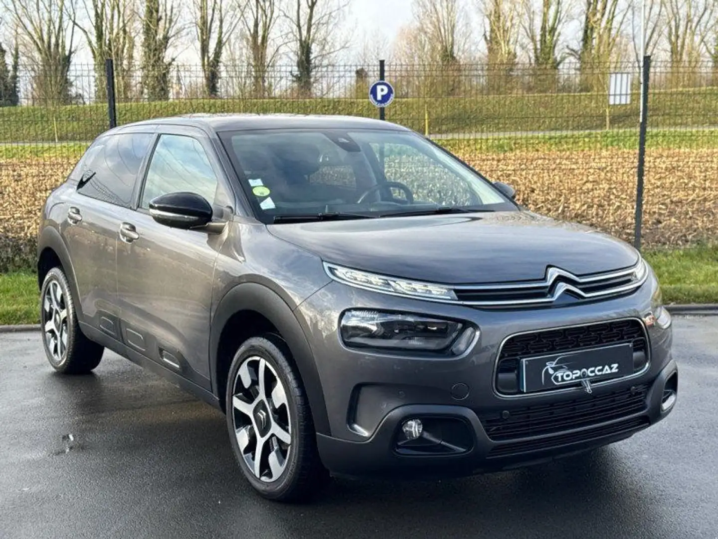 Citroen C4 Cactus 1.6 HDI 100 SHINE * 53.000KM * 2018 * GPS * LED * GARANTIE Gris - 2