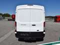 Ford Transit 2.0 L2H2 AHK Klima Tempomat PDC Weiß - thumbnail 6