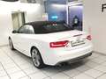 Audi S5 3.0 TFSI Cabrio S Tronic Quattro 2.Hand Scheckheft Weiß - thumbnail 6