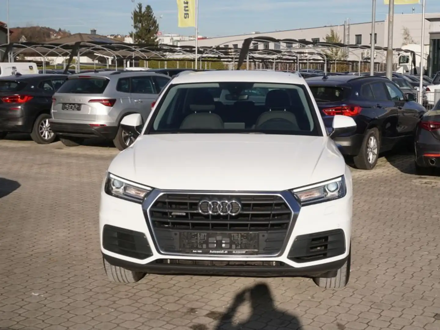 Audi Q5 35 TDI quattro S-tronic *NAVI+XENON* Weiß - 2