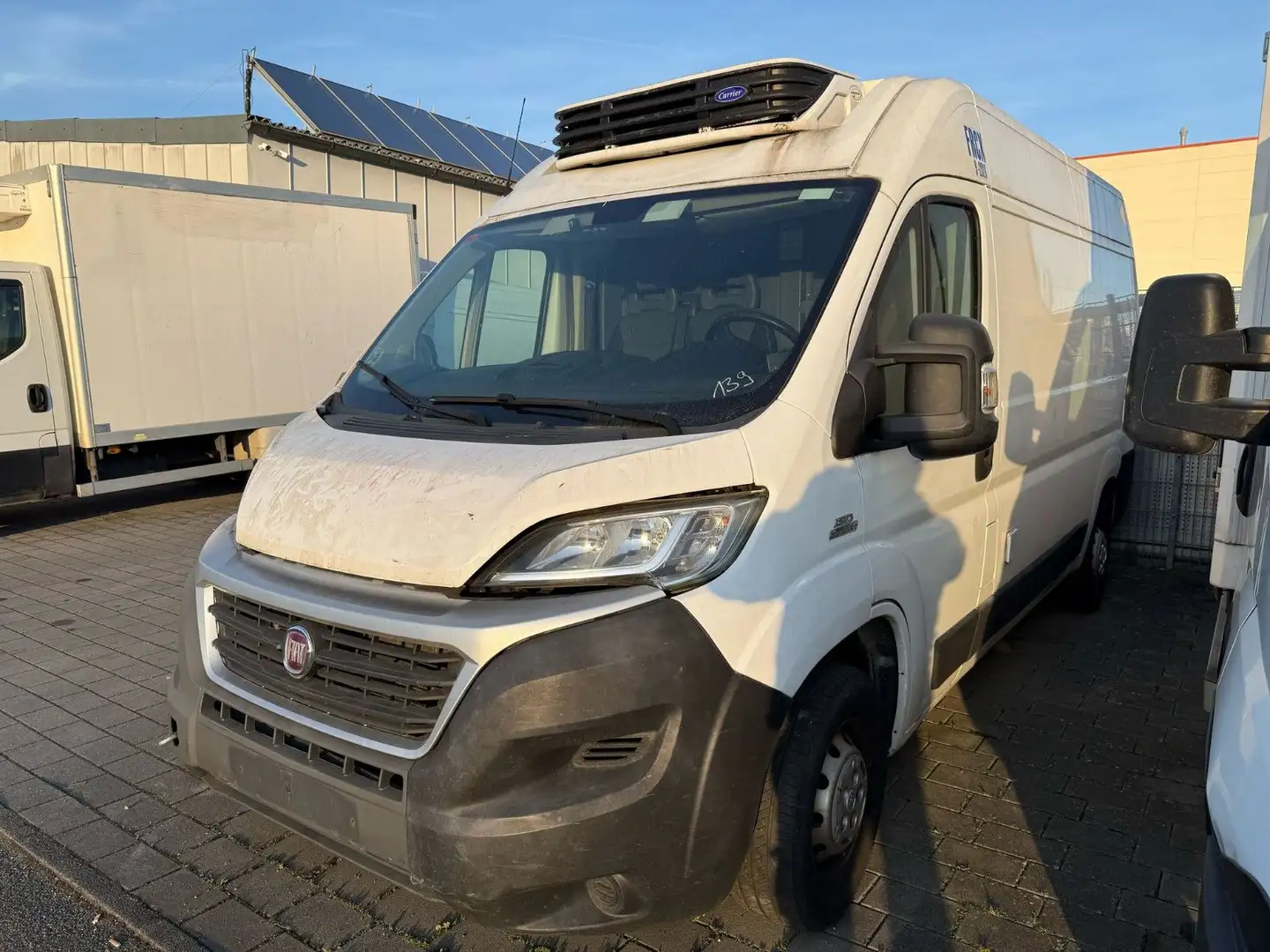 Fiat Ducato*Carrier Xarios 300*Klima*Kühlkasten* Weiß - 1