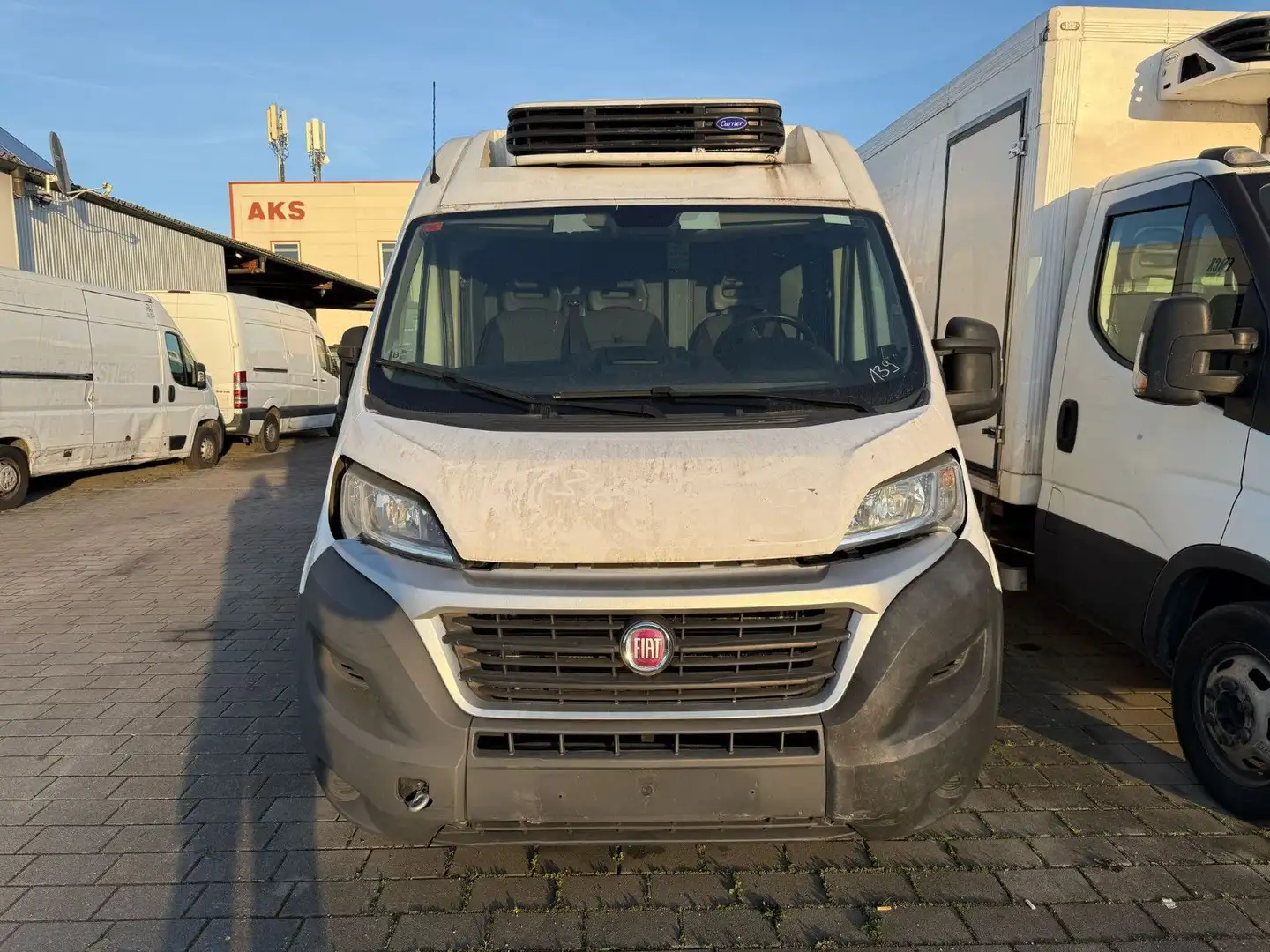 Fiat Ducato*Carrier Xarios 300*Klima*Kühlkasten* Weiß - 2