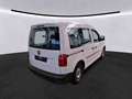 Volkswagen Caddy 2.0 TDI Kombi Eco Profi BMT- Temp- 5 Sitze - thumbnail 2
