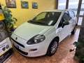 Fiat Punto Punto 1.2 8V 5 porte Street Weiß - thumbnail 2