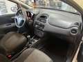 Fiat Punto Punto 1.2 8V 5 porte Street Weiß - thumbnail 8