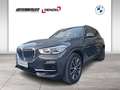 BMW X5 xDrive45e (G05) Grau - thumbnail 1